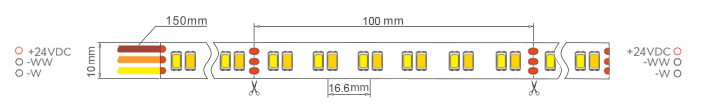 dual white cct led strip